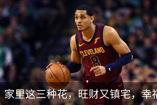 家里这三种花，旺财又镇宅，幸福叮当响！